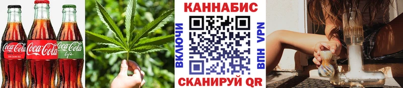 Купить где Гаджиево Еда ТГК конопля