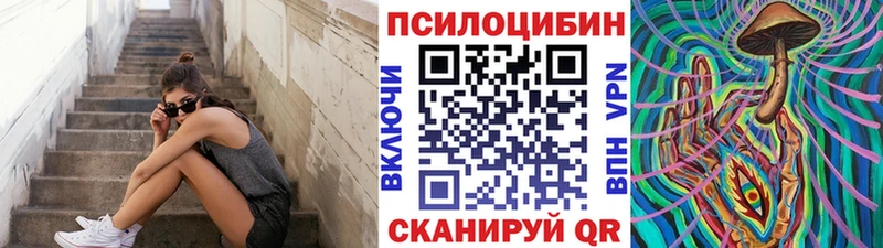 Галлюциногенные грибы Cubensis  Купить закладки  Гаджиево 